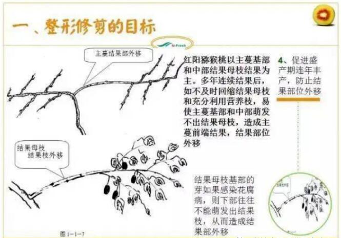 1720081140322528.jpg QQ截圖20240704160152.jpg