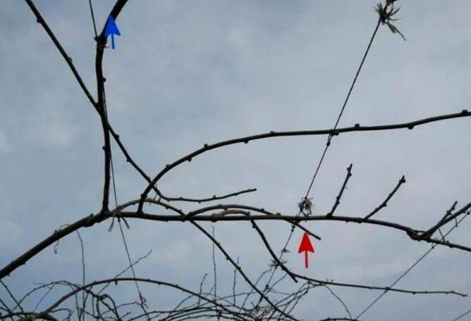 1720081277282954.jpg QQ截圖20240704160245.jpg