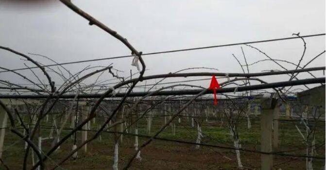 1720081417347039.jpg QQ截圖20240704160336.jpg